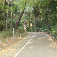 Small image